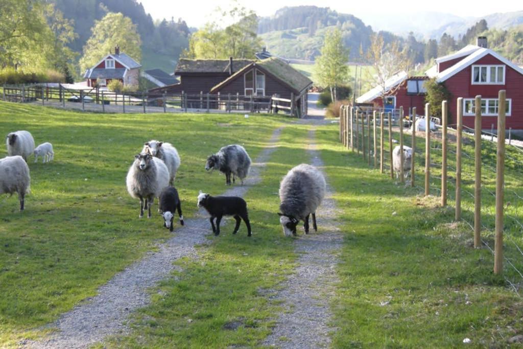Skjerping Gardshus, Villa Lonevåg Buitenkant foto