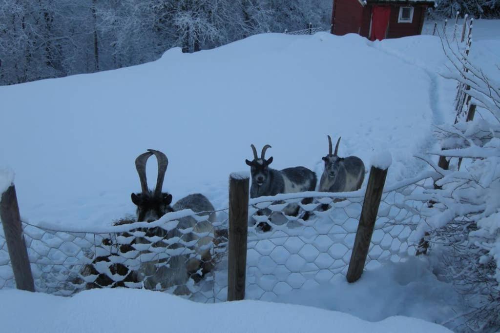 Skjerping Gardshus, Villa Lonevåg Buitenkant foto